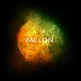 Табак Do You Melon (Ду Ю Дыня) 20 гр