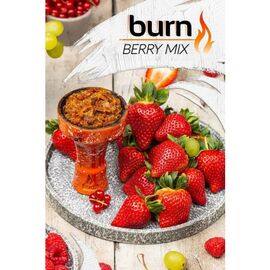 Табак Burn Berry Mix (Бёрн Ягодный Микс) 100 грамм