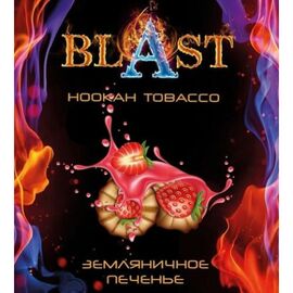 Табак Blast (Бласт) Земляничное Печенье 100г