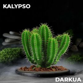 Тютюн DARKUA Kalypso (Дарк ЮА Кактус) 100 грам