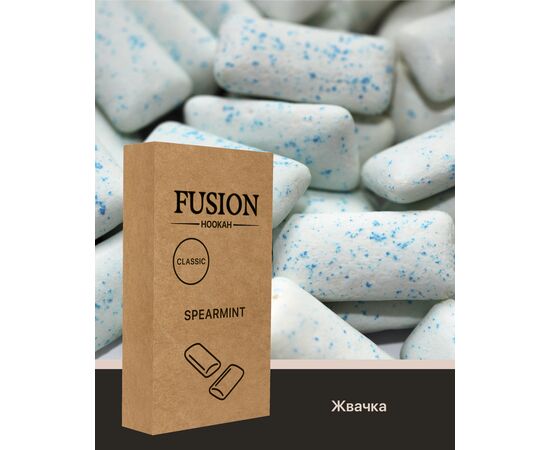 Тютюн Fusion Classic Chewing Gum (Фьюжн М'ята Жуйка) 100 гр